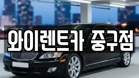 서울특별시 중구 을지로5가 렌트카 전문 와이렌트카 중구점