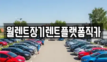 서울특별시 중구 을지로5가 장기렌트카 전문 월렌트장기렌트플랫폼직카