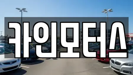 서울특별시 중구 을지로5가 중고차 전문 카인모터스