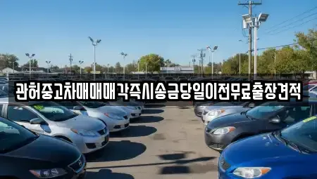 서울특별시 중구 을지로5가 중고차매매 전문 관허중고차매매매각즉시송금당일이전무료출장견적