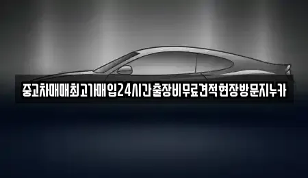 서울특별시 중구 을지로5가 중고차매입 전문 중고차매매최고가매입24시간출장비무료견적현장방문지누카