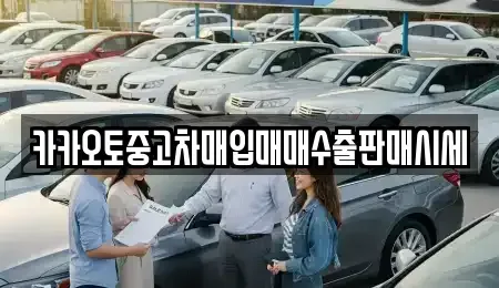서울특별시 중구 중고차매입 전문 카카오토중고차매입매매수출판매시세