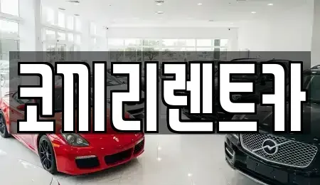 서울특별시 중랑구 면목동 렌트카 전문 코끼리렌트카