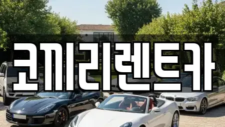 서울특별시 중랑구 면목동 렌트카 전문 코끼리렌트카