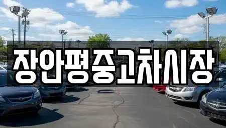 서울특별시 중랑구 면목동 중고차 전문 장안평중고차시장