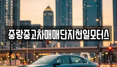 서울특별시 중랑구 면목동 중고차 전문 중랑중고차매매단지천일모터스