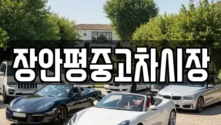 서울특별시 중랑구 면목동 중고차매매 전문 장안평중고차시장