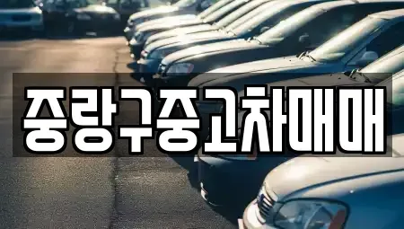 서울특별시 중랑구 면목동 중고차매매 전문 중랑구중고차매매