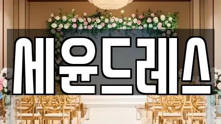 세윤드레스