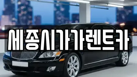 세종 한솔동 렌트카 전문 세종시가가렌트카