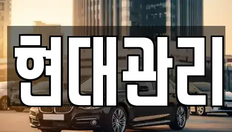 세종 한솔동 렌트카 전문 현대관리