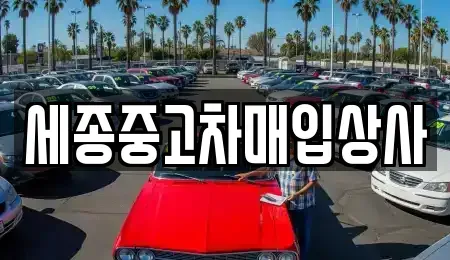 세종 한솔동 중고차매입 전문 세종중고차매입상사