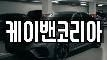 세종특별자치시 다솜동 렌트카 전문 케이밴코리아