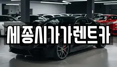 세종특별자치시 산울동 렌트카 전문 세종시가가렌트카