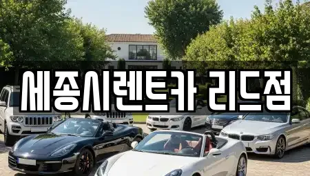 세종특별자치시 산울동 렌트카 전문 세종시렌트카 리드점