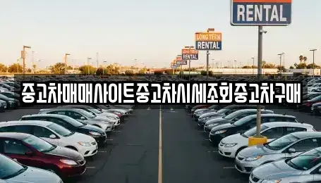 세종특별자치시 산울동 중고차 전문 중고차매매사이트중고차시세조회중고차구매