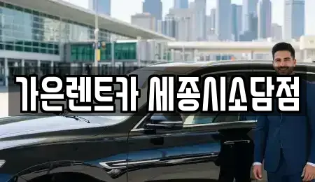 세종특별자치시 소담동 렌트카 전문 가은렌트카 세종시소담점