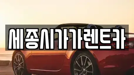 세종특별자치시 소담동 렌트카 전문 세종시가가렌트카