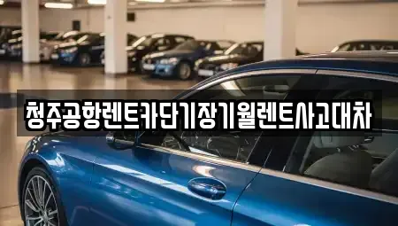 세종특별자치시 연동면 장기렌트카,중고차,렌트카,단기렌트카,중고차매입,중고차매매