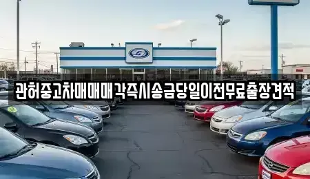 세종특별자치시 연동면 중고차 전문 관허중고차매매매각즉시송금당일이전무료출장견적