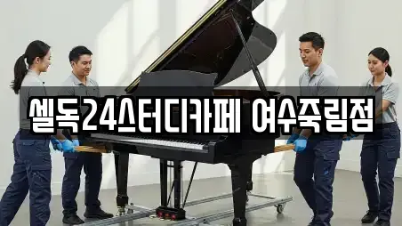 셀독24스터디카페 여수죽림점