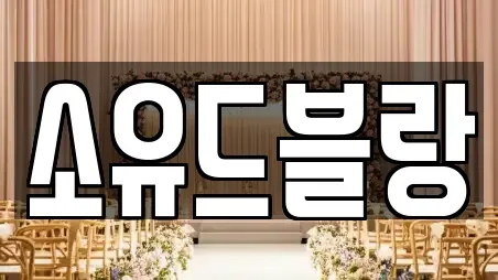 소유드블랑