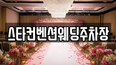 스타컨벤션웨딩주차장