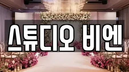 스튜디오 비엔