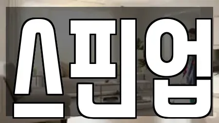 스핀업