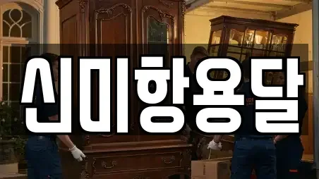신미항용달