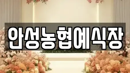 안성시 명륜동 동네 예식장 6업체