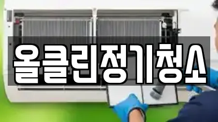 전주시 완산구 중앙동2가 동네 사무실청소 7곳