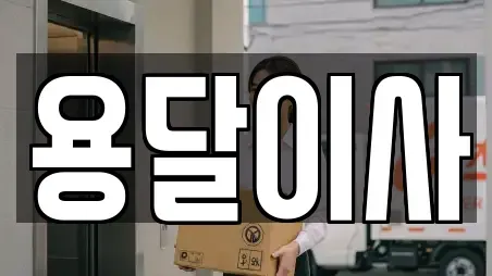 용달이사