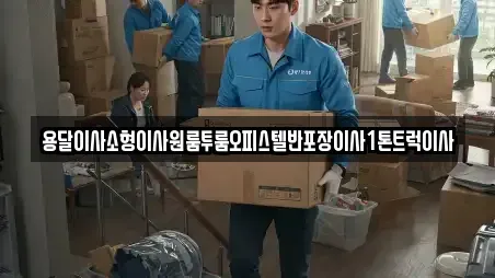 용달이사소형이사원룸투룸오피스텔반포장이사1톤트럭이사