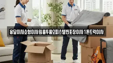 용달이사소형이사원룸투룸오피스텔반포장이사1톤트럭이사