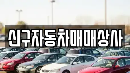울산 중구 성안동 중고차 전문 신구자동차매매상사