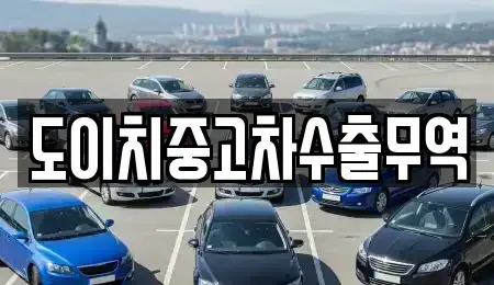 울산광역시 남구 용연동 중고차매매 전문 도이치중고차수출무역