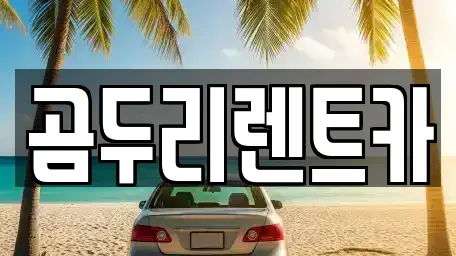 울산광역시 동구 렌트카 전문 곰두리렌트카