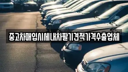울산광역시 동구 중고차매입 전문 중고차매입시세내차팔기견적가격수출업체