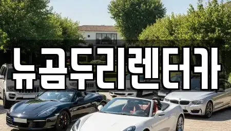 울산광역시 울주군 렌트카 전문 뉴곰두리렌터카