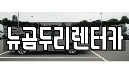 울산광역시 울주군 상북면 렌트카 전문 뉴곰두리렌터카