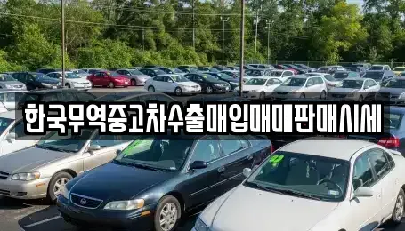 울산광역시 울주군 중고차매입 전문 한국무역중고차수출매입매매판매시세