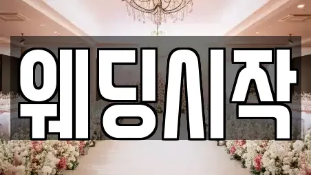 웨딩시작