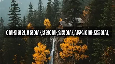 이사의명인,포장이사,보관이사,원룸이사,사무실이사,모든이사,
