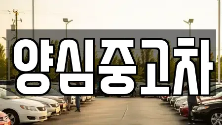 인천 계양구 둑실동 중고차매매 전문 양심중고차