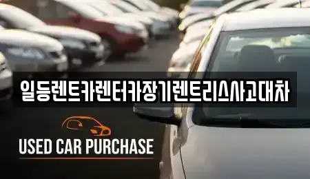 인천 남동구 만수동 장기렌트카 전문 일등렌트카렌터카장기렌트리스사고대차