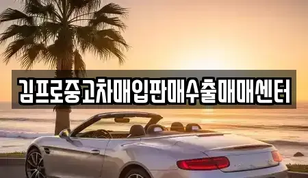 인천 남동구 만수동 중고차매입 전문 김프로중고차매입판매수출매매센터