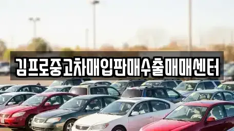 인천 미추홀구 관교동 중고차 전문 김프로중고차매입판매수출매매센터