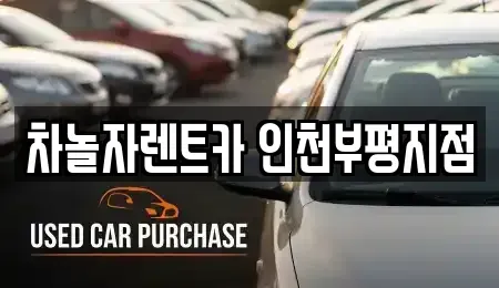 인천 부평구 장기렌트카 전문 차놀자렌트카 인천부평지점