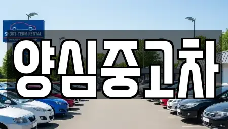 인천 서구 금곡동 중고차 전문 양심중고차